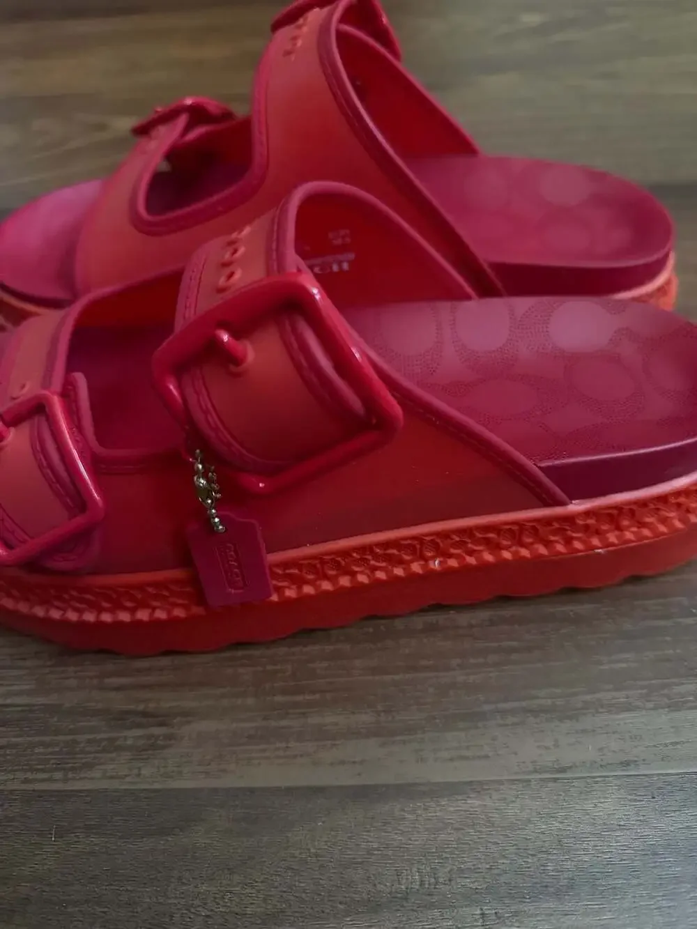 Coach Lucy Platform Rubber Sandal